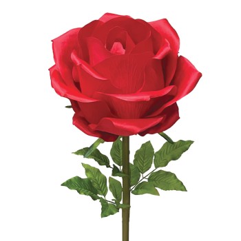 ΚΛΑΔΙ ΤΡΙΑΝΤΑΦΥΛΛΟ KOKKINO ΓΙΓΑΣ XL - Φ40x125cm 6/ΚΙΒ