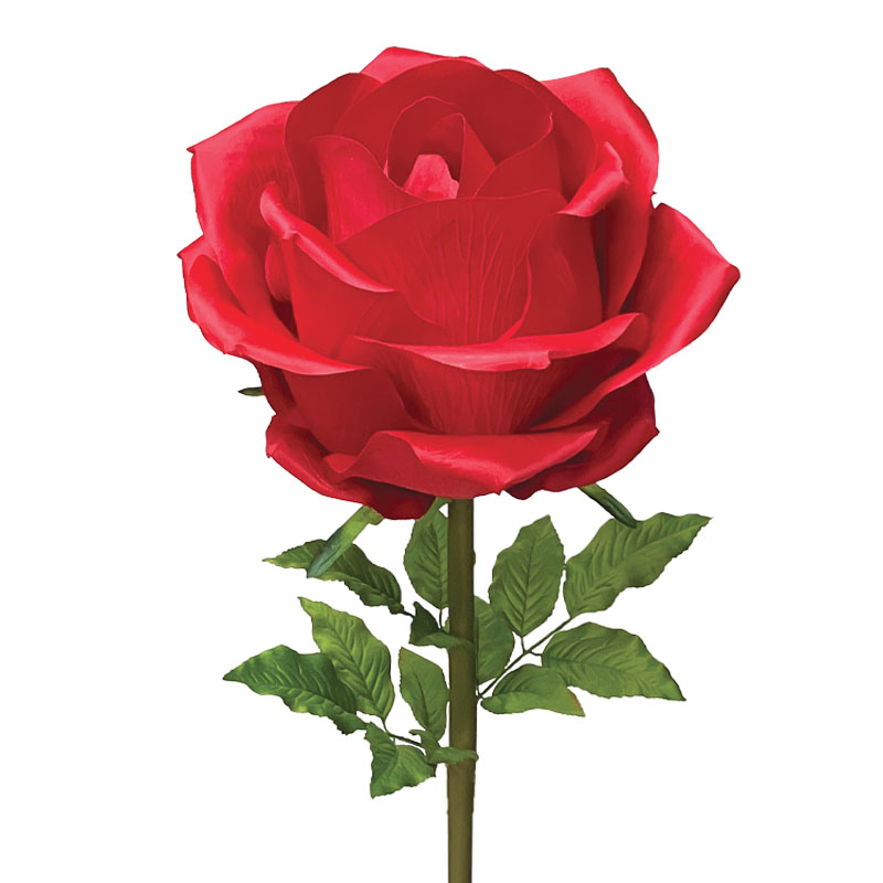 ΚΛΑΔΙ ΤΡΙΑΝΤΑΦΥΛΛΟ KOKKINO ΓΙΓΑΣ XL - Φ40x125cm 6/ΚΙΒ