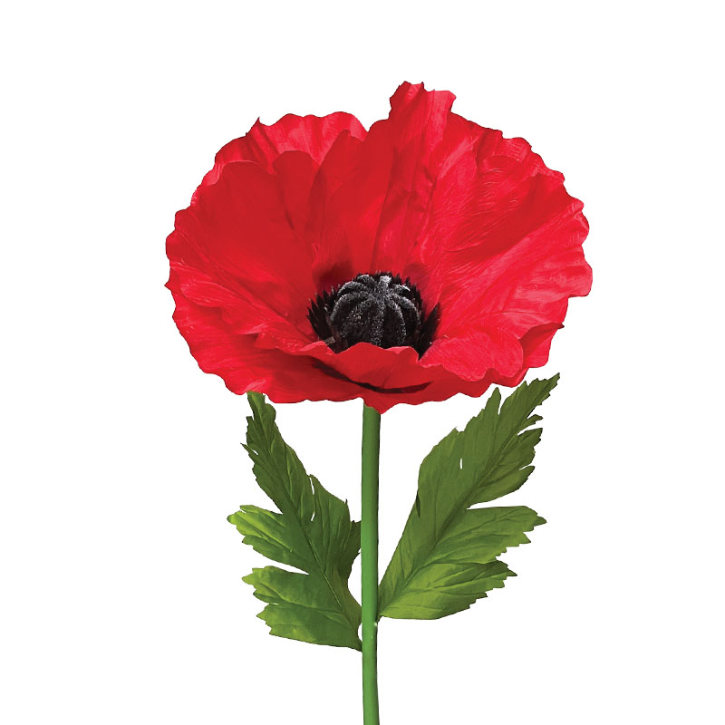 ΚΟΚΚΙΝΟ ΚΛΑΔΙ ΠΑΠΑΡΟΥΝΑ XL - Φ40x120cm 24/ΚΙΒ