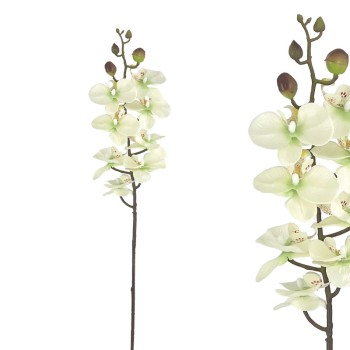 ΚΛΑΔΙ ΦΑΝΕΛΟΨ ΣΑΜΠΑΝΙ - Υ76cm 12/144KIB