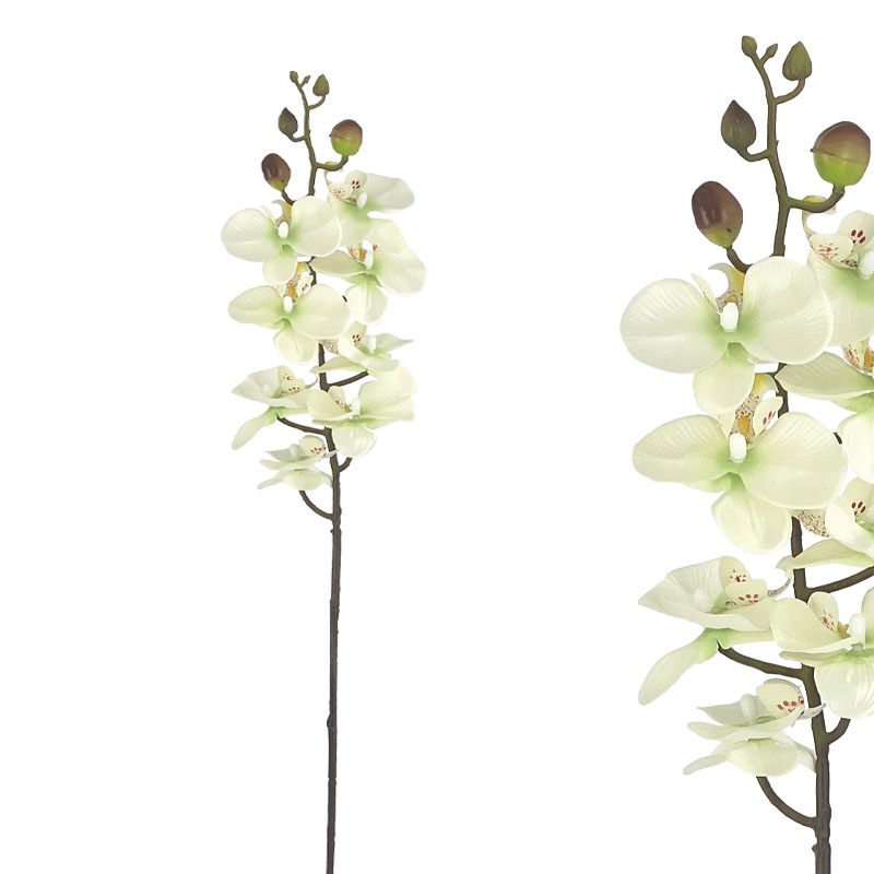 ΚΛΑΔΙ ΦΑΝΕΛΟΨ ΣΑΜΠΑΝΙ - Υ76cm 12/144KIB