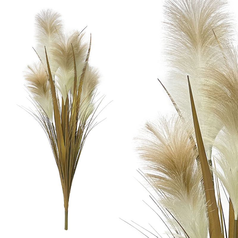 ΚΛΑΔΙ ΕΚΡΟΥ/ΚΑΦΕ ΚΑΛΑΜΙ ΓΚΡΑΣΣ-ΠΑΜΠΑΣ - Y120cm 60/KIB