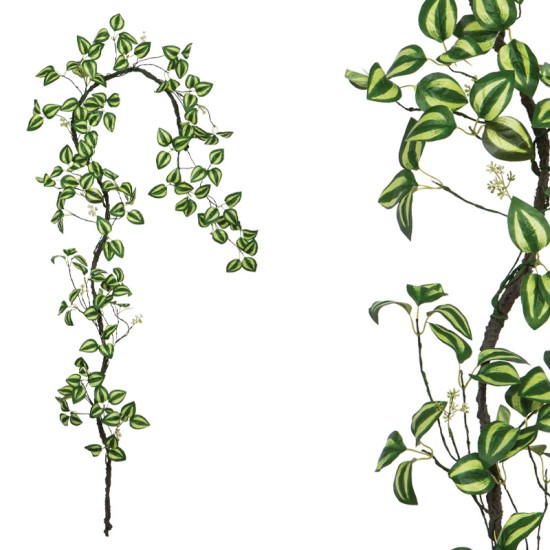 ΓΙΡΛΑΝΤΑ ΚΛΑΡΑ ΜΕ ΔΙΧΡΩΜΑ ΠΡΑΣΙΝΑ ΦΥΛΛΑ - Υ240cm 120/ΚΙΒ ΓΙΡΛΑΝΤΑ ΚΛΑΡΑ ΜΕ ΔΙΧΡΩΜΑ ΠΡΑΣΙΝΑ ΦΥΛΛΑ - Υ240cm 120/ΚΙΒ