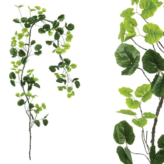 ΓΙΡΛΑΝΤΑ ΚΛΑΡΑ ΜΕ ΠΡΑΣΙΝΑ ΦΥΛΛΑ - Υ240cm 160/ΚΙΒ ΓΙΡΛΑΝΤΑ ΚΛΑΡΑ ΜΕ ΠΡΑΣΙΝΑ ΦΥΛΛΑ - Υ240cm 160/ΚΙΒ