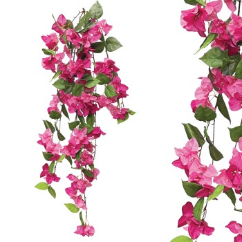 ΡΙΖΑ ΚΡΕΜΑΣΤΗ ΦΟΥΞ ΛΟΥΛΟΥΔΙΩΝ ΒΟΥΚΑΜΒΙΛΙΑΣ - Y122cm 12/72KIB