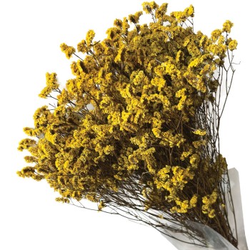 ΑΠΟΞΗΡΑΜΕΝΟ ΚΙΤΡΙΝΟ ΜΠΟΥΚΕΤΟ ΛΕΙΜΩΝΙΟ 120gr - Υ80-90cm 30/ΚΙΒ