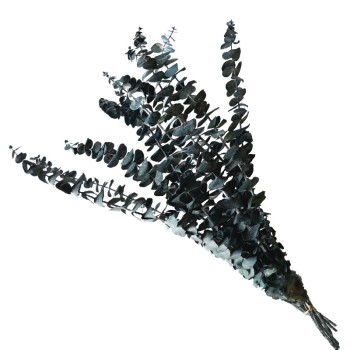 ΑΠΟΞΗΡΑΜΕΝA ΚΛΑΔΙΑ ΠΡΑΣΙΝΟ/ΜΠΛΕ ΕΥΚΑΛΥΠΤΟΣ ΜΑΤΣΟ ~10τμχ - Υ50-60cm 30/ΚΙΒ