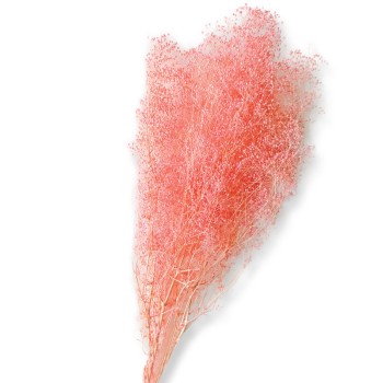 ΑΠΟΞΗΡΑΜΕΝA ΚΛΑΔΙΑ ΡΟΖ ΓΥΨΟΦΥΛΛΗ MILLION STARS ΜΑΤΣΟ 50gr - Y75-80cm 100/ΚΙΒ