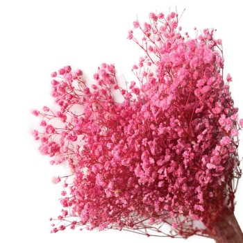 ΑΠΟΞΗΡΑΜΕΝA ΚΛΑΔΙΑ ΦΟΥΞ ΓΥΨΟΦΥΛΗ ΜΑΤΣΟ 100gr - Υ70-80cm 30/ΚΙΒ