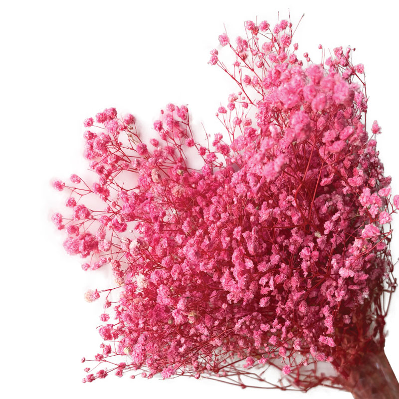 ΑΠΟΞΗΡΑΜΕΝA ΚΛΑΔΙΑ ΦΟΥΞ ΓΥΨΟΦΥΛΗ ΜΑΤΣΟ 100gr - Υ70-80cm 30/ΚΙΒ