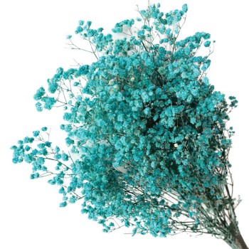 ΑΠΟΞΗΡΑΜΕΝA ΚΛΑΔΙΑ ΚΥΑΝΟ ΓΥΨΟΦΥΛΗ ΜΑΤΣΟ 100gr - Υ70-80cm 30/ΚΙΒ