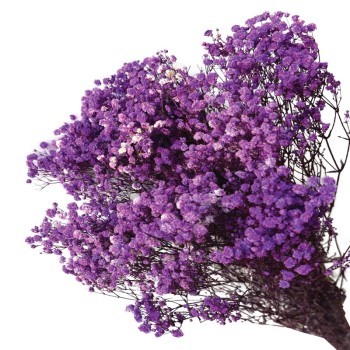 ΑΠΟΞΗΡΑΜΕΝA ΚΛΑΔΙΑ ΜΩΒ ΓΥΨΟΦΥΛΗ ΜΑΤΣΟ 100gr - Υ70-80cm 30/ΚΙΒ