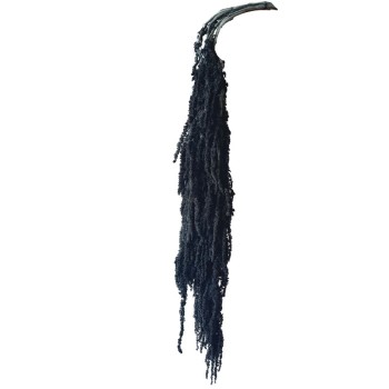 ΔΙΑΤΗΡΗΜΕΝΟ ΜΑΥΡΟ ΚΡΕΜΑΣΤΟ ΚΛΑΔΙ ΑΜΑΡΑΝΘΟΣ ΜΑΤΣΟ ~5τμχ - Υ120cm