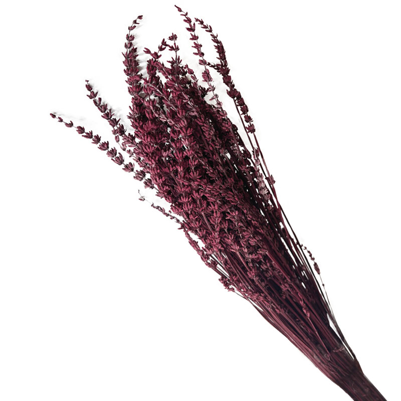 ΑΠΟΞΗΡΑΜΕΝΑ ΦΟΥΞ ΚΛΑΔΙΑ ΛΕΒΑΝΤΑ ΜΑΤΣΟ 100gr - Y60cm 40/ΚΙΒ