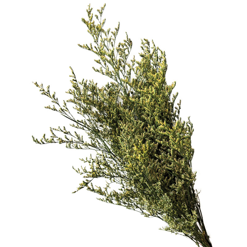 ΑΠΟΞΗΡΑΜΕΝA ΠΡΑΣΙΝΟ ΚΛΑΔΙΑ ΛΕΙΜΩΝΙΟ ΚΑΣΠΙΑ ΜΑΤΣΟ 120gr - Υ70cm 40/ΚΙΒ