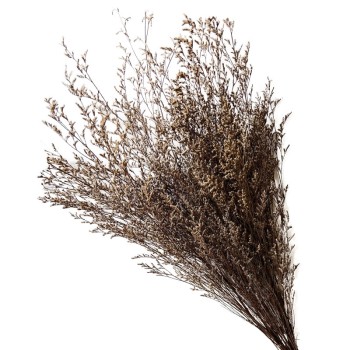 ΑΠΟΞΗΡΑΜΕΝA ΕΚΡΟΥ ΚΛΑΔΙΑ ΛΕΙΜΩΝΙΟ ΚΑΣΠΙΑ ΜΑΤΣΟ 120gr - Υ70cm 40/ΚΙΒ