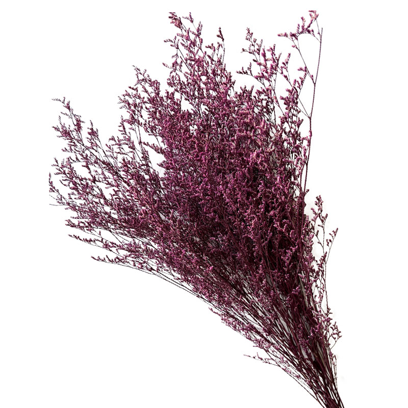 ΑΠΟΞΗΡΑΜΕΝA ΒΙΟΛΕΤΙ ΚΛΑΔΙΑ ΛΕΙΜΩΝΙΟ ΚΑΣΠΙΑ ΜΑΤΣΟ 120gr - Υ70cm 40/ΚΙΒ