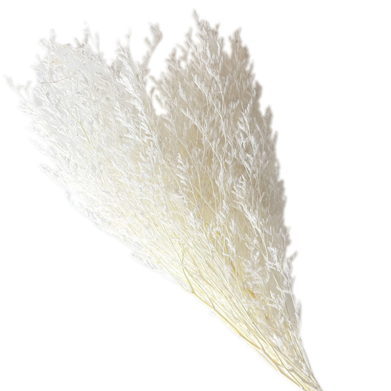 ΑΠΟΞΗΡΑΜΕΝA ΛΕΥΚΟ ΚΛΑΔΙΑ ΛΕΙΜΩΝΙΟ ΚΑΣΠΙΑ ΜΑΤΣΟ 120gr - Υ70cm 40/ΚΙΒ