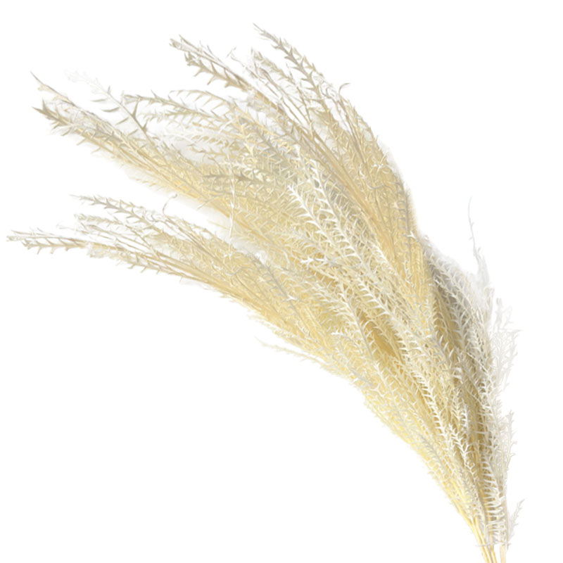 ΑΠΟΞΗΡΑΜΕΝΑ ΛΕΥΚΟ ΚΛΑΔΙΑ ΦΤΕΡΗΣ ΜΑΤΣΟ ~3τμχ - Υ120cm 70/ΚΙΒ