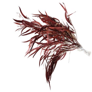 ΑΠΟΞΗΡΑΜΕΝΑ ΚΛΑΔΙΑ KOKKINO ΕΥΚΑΛΥΠΤΟΣ ΙΤΙΑ-ΜΕΝΤΑ ΜΑΤΣΟ 100g - Υ65 cm 50/ΚΙΒ