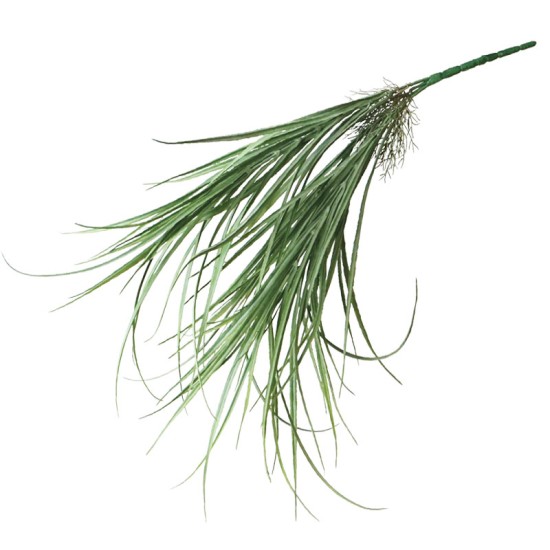 ΡΙΖΑ ΚΡΕΜΑΣΤΗ ΙΕΡΟΧΛΟΗ ΛΑΧΑΝΙ - Y62cm 24/144ΚΙΒ ΡΙΖΑ ΚΡΕΜΑΣΤΗ ΙΕΡΟΧΛΟΗ ΛΑΧΑΝΙ - Y62cm 24/144ΚΙΒ