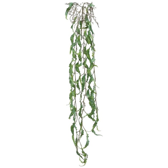 ΡΙΖΑ ΚΡΕΜΑΣΤΗ ΧΑΠΕΡΖΙΑ ΛΑΧΑΝΙ - Υ136cm 36/144ΚΙΒ ΡΙΖΑ ΚΡΕΜΑΣΤΗ ΧΑΠΕΡΖΙΑ ΛΑΧΑΝΙ - Υ136cm 36/144ΚΙΒ