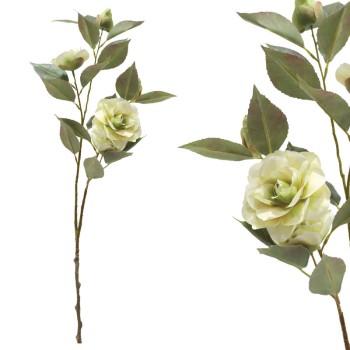 ΚΛΑΔΙ ΚΑΜΕΛΙΑΣ ΕΚΡΟΥ - 69cm 12/120ΚΙΒ