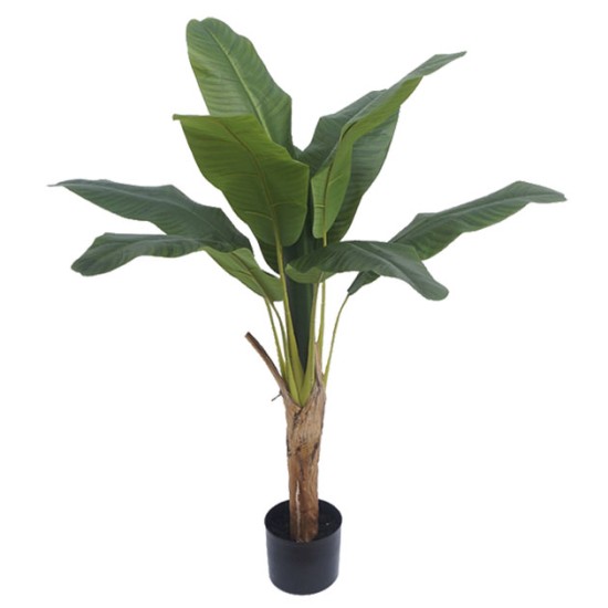 ΔΕΝΤΡΟ ΜΠΑΝΑΝΙΑ ΜΟΝΗ REAL TOUCH ΣΕ ΓΛΑΣΤΡΑ - Υ125cm 4/ΚΙΒ ΔΕΝΤΡΟ ΜΠΑΝΑΝΙΑ ΜΟΝΗ REAL TOUCH ΣΕ ΓΛΑΣΤΡΑ - Υ125cm 4/ΚΙΒ