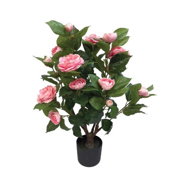 ΔΕΝΤΡΟ ΚΑΜΕΛΙΑ ΡΟΖ ΣΕ ΓΛΑΣΤΡΑ - Y75cm 4/KIB