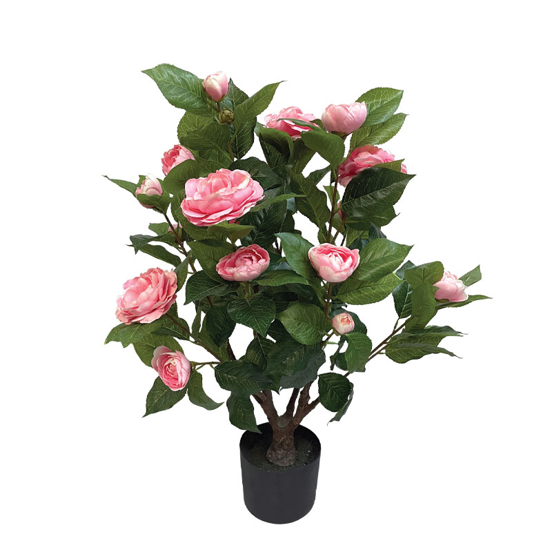 ΔΕΝΤΡΟ ΚΑΜΕΛΙΑ ΡΟΖ ΣΕ ΓΛΑΣΤΡΑ - Y75cm 4/KIB