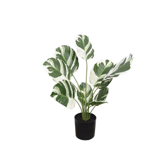 ΔΕΝΤΡΟ REAL TOUCH ΔΙΧΡΩΜΟ ΦΙΛΟΔΕΝΤΡΟ ΣΕ ΚΑΣΠΩ - Υ48cm 6/KIB ΔΕΝΤΡΟ REAL TOUCH ΔΙΧΡΩΜΟ ΦΙΛΟΔΕΝΤΡΟ ΣΕ ΚΑΣΠΩ - Υ48cm 6/KIB