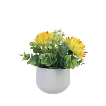 ΓΛΑΣΤΡΑΚΙ ME ΚΙΤΡΙΝΟ/ΠΟΡΤΟΚΑΛΙ ΧΡΥΣΑΝΘΕΜΑ & ΕΥΚΑΛΥΠΤΟ - Υ18cm 6/12ΚΙΒ