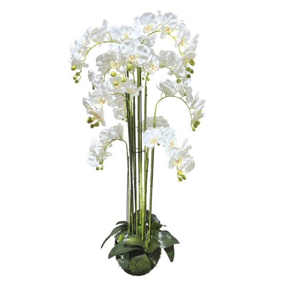 ΦΥΤΟ ΟΡΧΙΔΕΑ ΛΕΥΚΟ ΑΝΘΗ REAL TOUCH - Υ135cm 1/ΚΙΒ ΦΥΤΟ ΟΡΧΙΔΕΑ ΛΕΥΚΟ ΑΝΘΗ REAL TOUCH - Υ135cm 1/ΚΙΒ