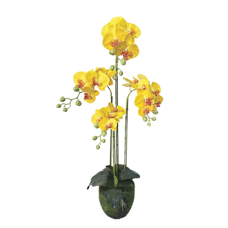 ΦΥΤΟ ΟΡΧΙΔΕΑ ΚΙΤΡΙΝA ΑΝΘΗ REAL TOUCH - Y98cm 2/KIB