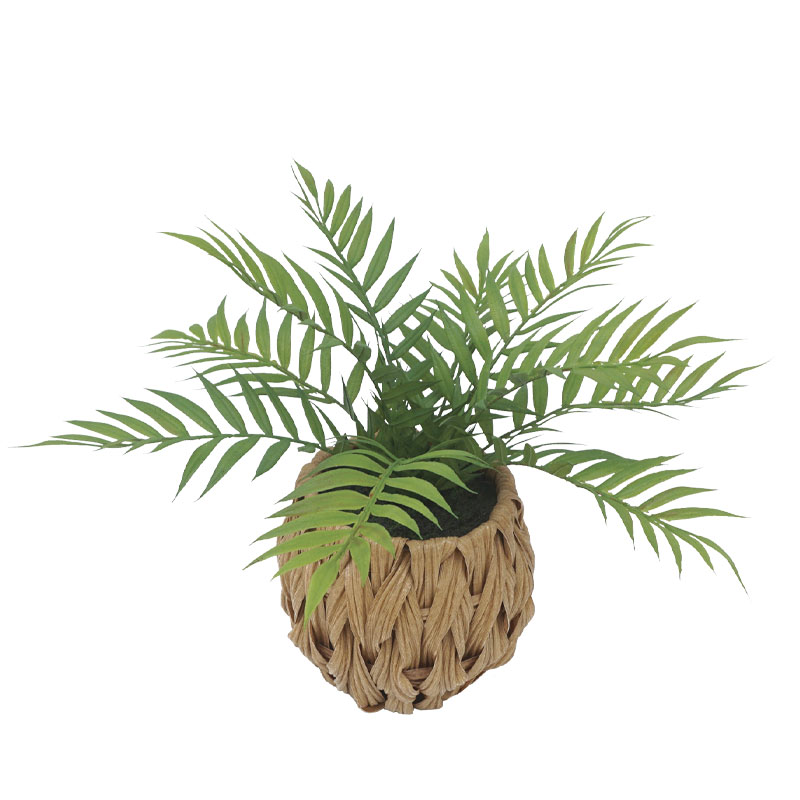 ΦΤΕΡΗ ΣΕ ΠΛΕΚΤΟ ΠΛΑΣΤΙΚΟ ΚΑΛΑΘΙ  ΚΑΦΕ-ΠΡΑΣΙΝΟ - Y30cm 6/48ΚΙΒ