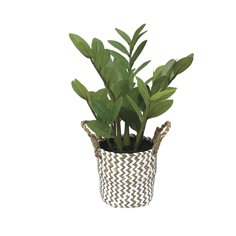 ΖΑΜΙΑ REAL TOUCH ΣΕ ΚΑΣΠΩ ΨΑΘΑ ΠΡΑΣΙΝΟ - Φ25x45cm 6/ΚΙΒ