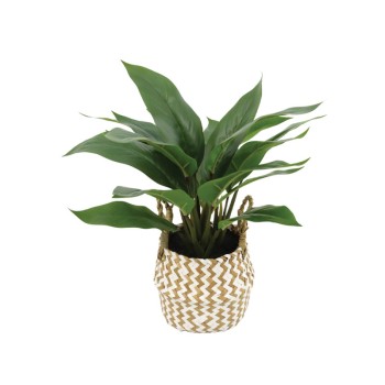 ΣΠΑΘΙΦΥΛΛΟ REAL TOUCH ΣΕ ΚΑΣΠΩ ΨΑΘΑ ΠΡΑΣΙΝΟ - Φ42x40cm 6/ΚΙΒ