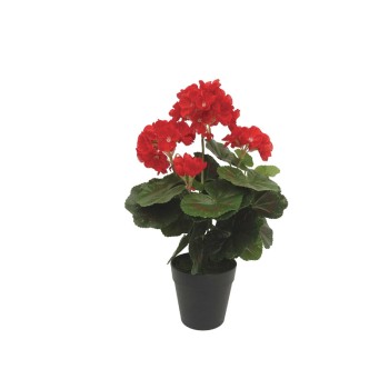 ΓΕΡΑΝΙΟ ΦΥΤΟ ΣΕ ΓΛΑΣΤΡΑ ΚΟΚΚΙΝΟ - Φ23x35cm 6/24ΚΙΒ