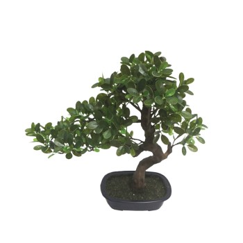 ΔΕΝΤΡΟ ΜΠΟΝΣΑΪ ΣΕ ΠΛΑΣΤΙΚΗ ΓΛΑΣΤΡΑ ΠΡΑΣΙΝΟ - 27x52x46cm 4/ΚΙΒ