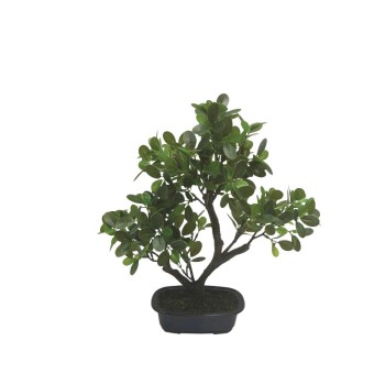 ΔΕΝΤΡΟ ΜΠΟΝΣΑΪ ΣΕ ΠΛΑΣΤΙΚΗ ΓΛΑΣΤΡΑ ΠΡΑΣΙΝΟ - 21x37x39cm 4/ΚΙΒ