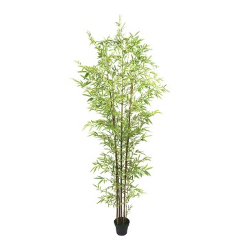 ΔΕΝΤΡΟ ΜΠΑΜΠΟΥ REAL TOUCH ΣΕ ΓΛΑΣΤΡΑ - Y270cm 2/ΚΙΒ