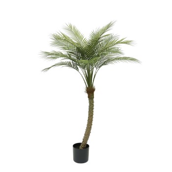 ΔΕΝΤΡΟ ΦΟΙΝΙΚΑΣ REAL TOUCH ΣΕ ΓΛΑΣΤΡΑ - 155cm 4/ΚΙΒ