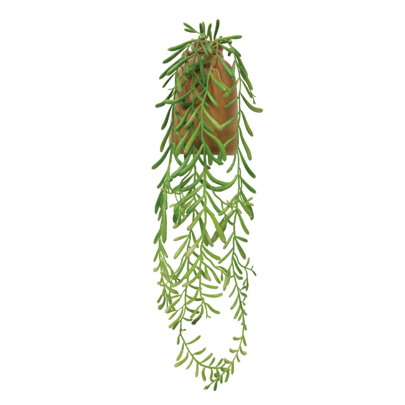 ΚΡΕΜΑΣΤΗ ΓΛΑΣΤΡΑ ΚΑΦΕ ΜΕ ΠΑΧΥΦΥΤΟ - 15x9x43cm 24/ΚΙΒ