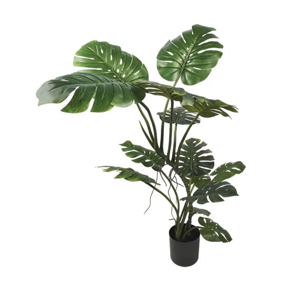 ΔΕΝΤΡΟ REAL TOUCH ΜΟΝΣΤΕΡΑ ΠΡΑΣΙΝΟ ΣΕ ΓΛΑΣΤΡΑ - Y130cm 2/KIB ΔΕΝΤΡΟ REAL TOUCH ΜΟΝΣΤΕΡΑ ΠΡΑΣΙΝΟ ΣΕ ΓΛΑΣΤΡΑ - Y130cm 2/KIB
