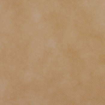 ΡΟΛΟ ΠΑΝΙ ΡΡL (NON WOVEN) ΜΠΕΖ 60cm X 18m