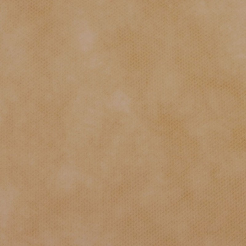 ΡΟΛΟ ΠΑΝΙ ΡΡL (NON WOVEN) ΜΠΕΖ 60cm X 18m