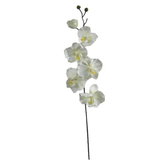ΚΛΑΔΙ ΟΡΧΙΔΕΑ ΣΑΜΠΑΝΙ Y72cm. 36/432ΚΙΒ ΚΛΑΔΙ ΟΡΧΙΔΕΑ ΣΑΜΠΑΝΙ Y72cm. 36/432ΚΙΒ