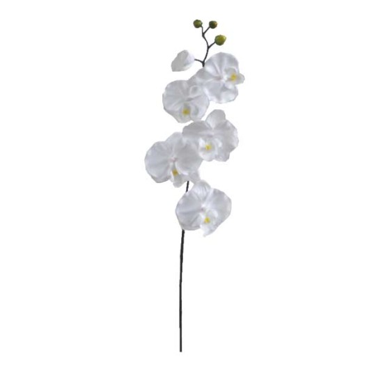 ΚΛΑΔΙ ΟΡΧΙΔΕΑ ΛΕΥΚΟ Y72cm. 36/432ΚΙΒ ΚΛΑΔΙ ΟΡΧΙΔΕΑ ΛΕΥΚΟ Y72cm. 36/432ΚΙΒ