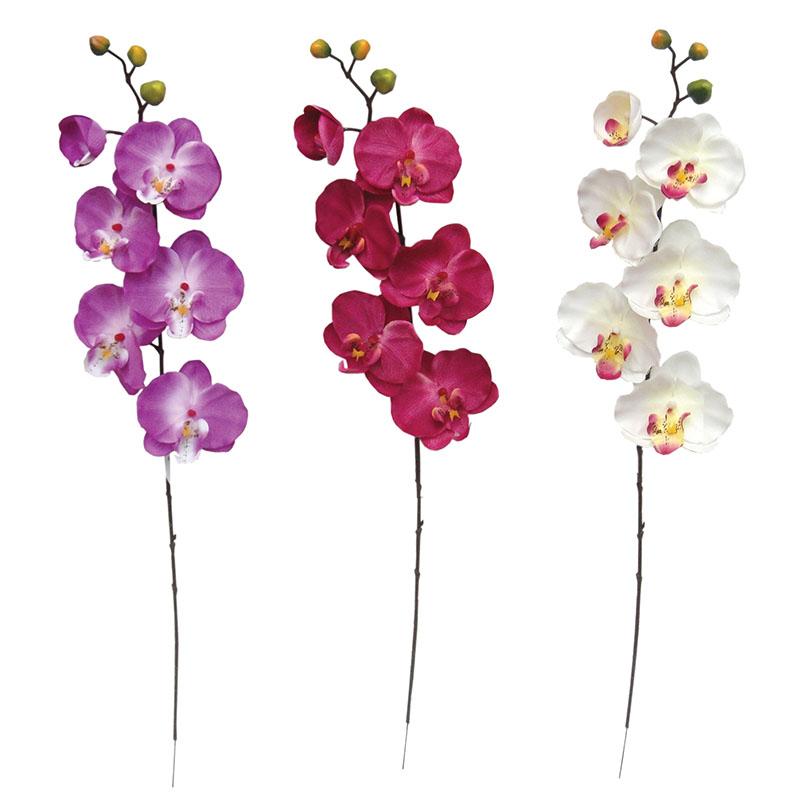 ΚΛΑΔΙ ΟΡΧΙΔΕΑ ΑSS (5 ΧΡΩΜΑΤΑ) Y72cm. 36/432ΚΙΒ
