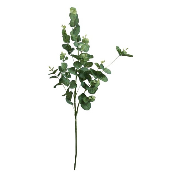 ΚΛΑΔΙ ΕΥΚΑΛΥΠΤΟΣ ΠΡΑΣΙΝΟ Y90cm. 24/192 ΚΙΒ ΚΛΑΔΙ ΕΥΚΑΛΥΠΤΟΣ ΠΡΑΣΙΝΟ Y90cm. 24/192 ΚΙΒ